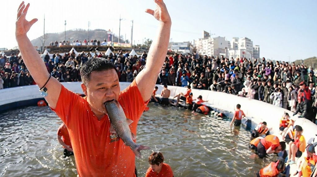 [2026 평창 송어축제] 송어의 눈물과 인간의 웃음, 그 아이러니한 현장 방문 준비기