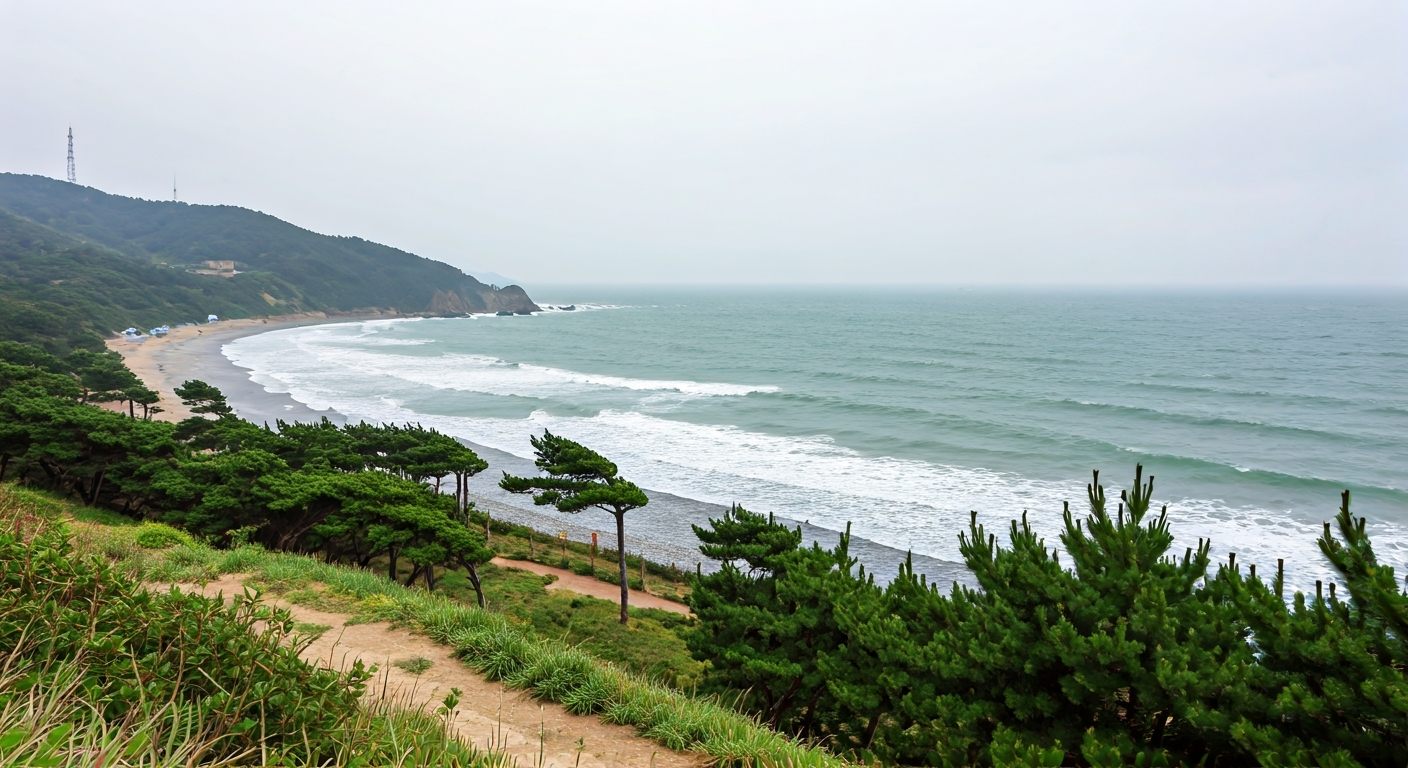 오늘 날씨로 보는 4월, 찐 봄이라더니… 이렇게 변덕 부리기 있나요? 4 강풍과 바다 안개, 야외활동 시 주의