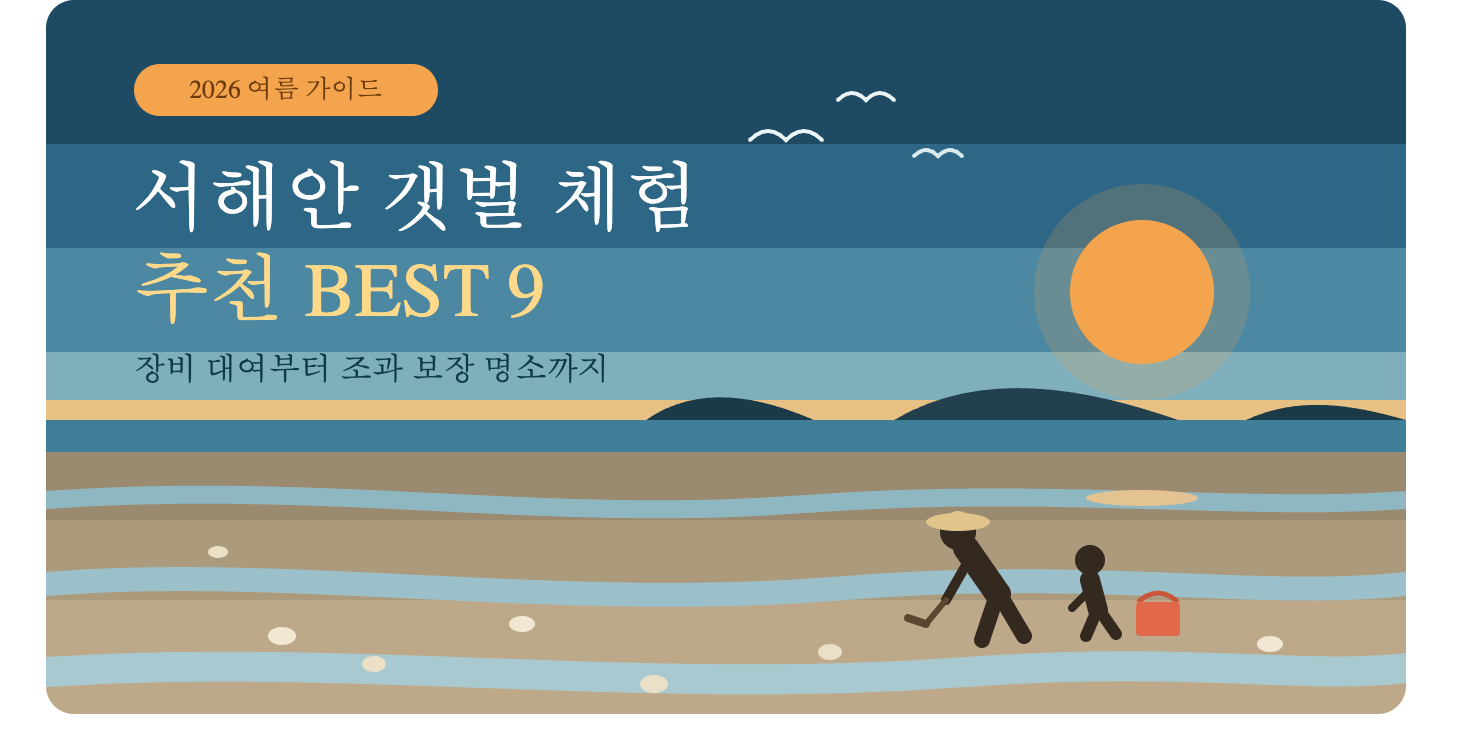 서해안 갯벌 체험 추천 BEST 9, 장비 대여부터 조과 보장 명소까지 비교